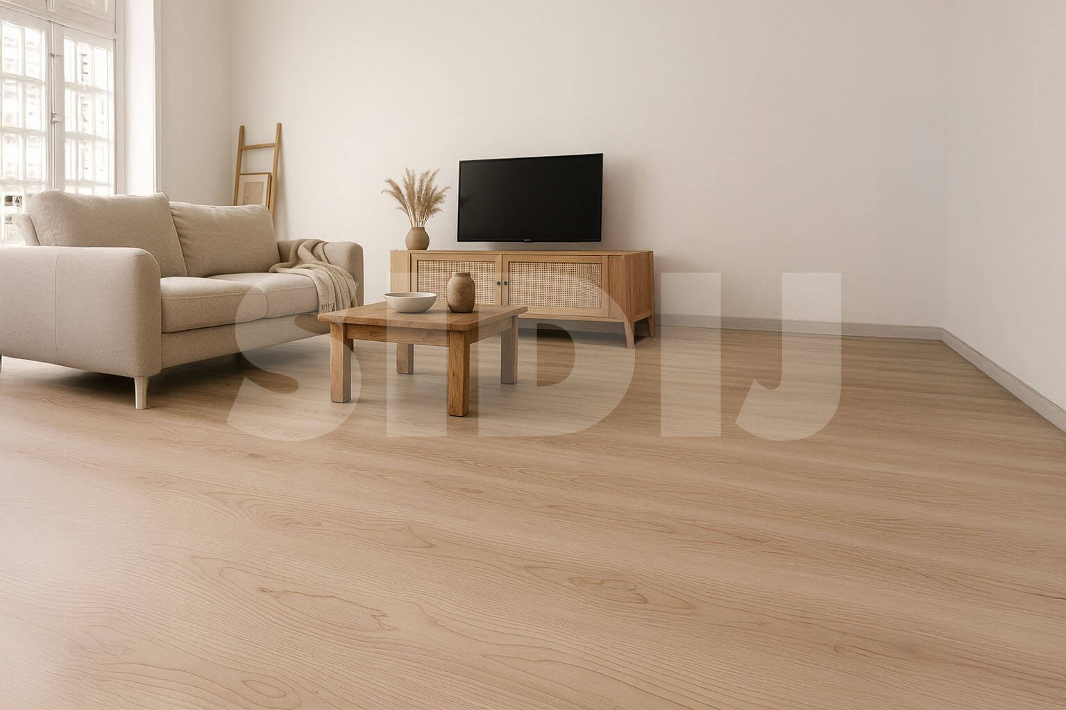 SIDIJ Web Banner 13 with Watermark